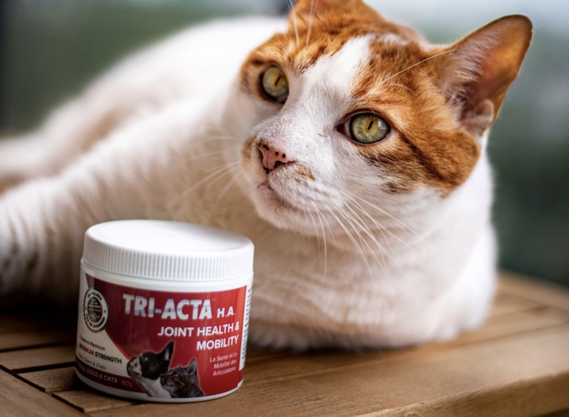 Best joint clearance supplement for cats